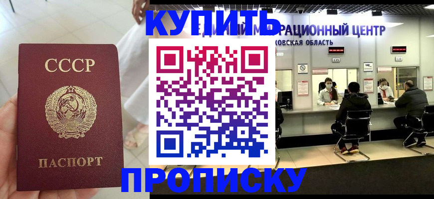 временная регистрация адрес в Полярных Зорях